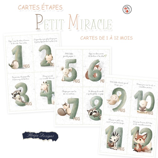 carteEtape_PetitMiracle_florju_PV7