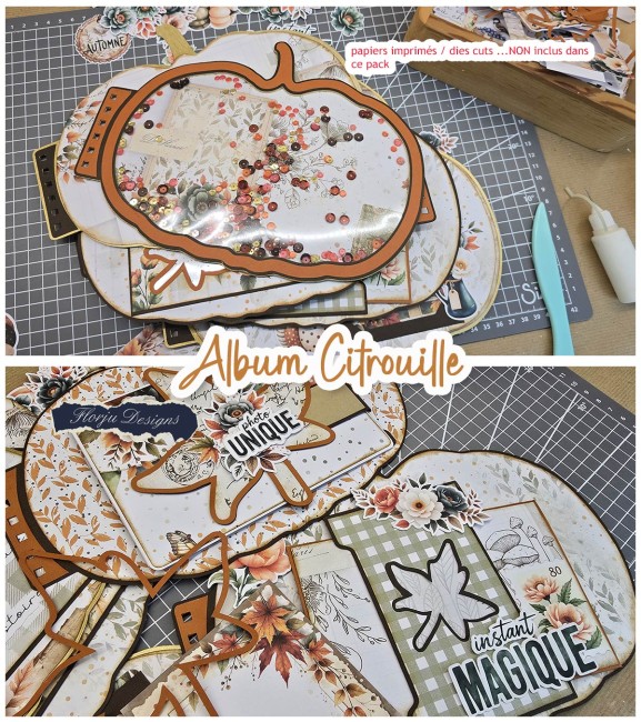 Album_citrouille_florju_Page2