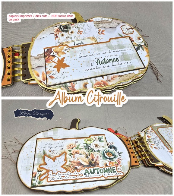 Album_citrouille_florju_Page3