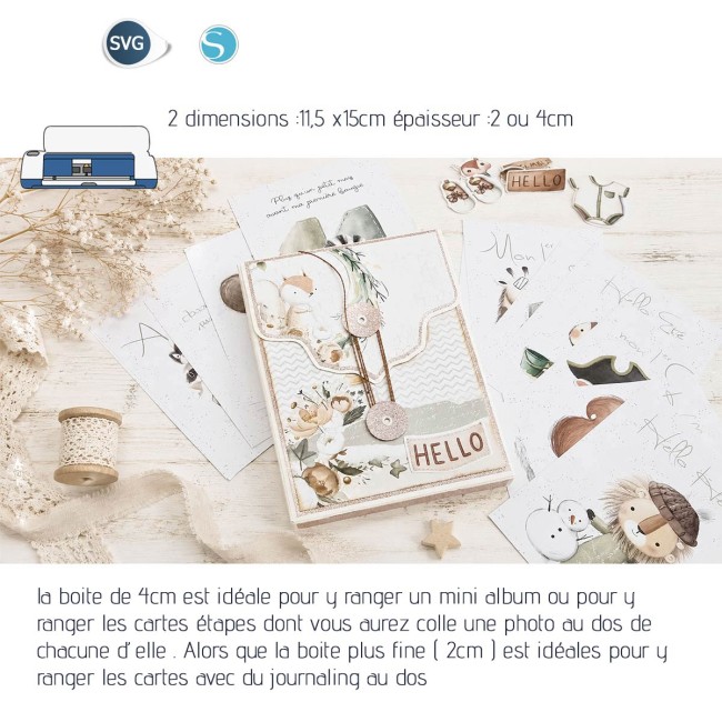 Boite_carteEtape_florju_PV1