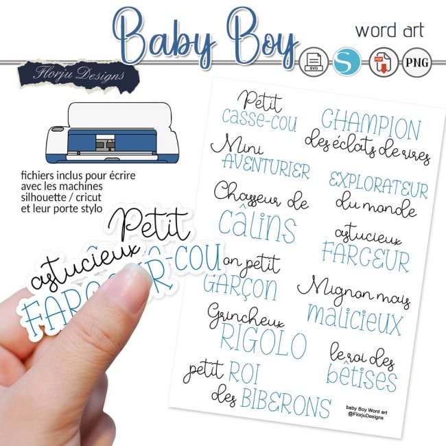 BabyBoy_WA_florju_pv