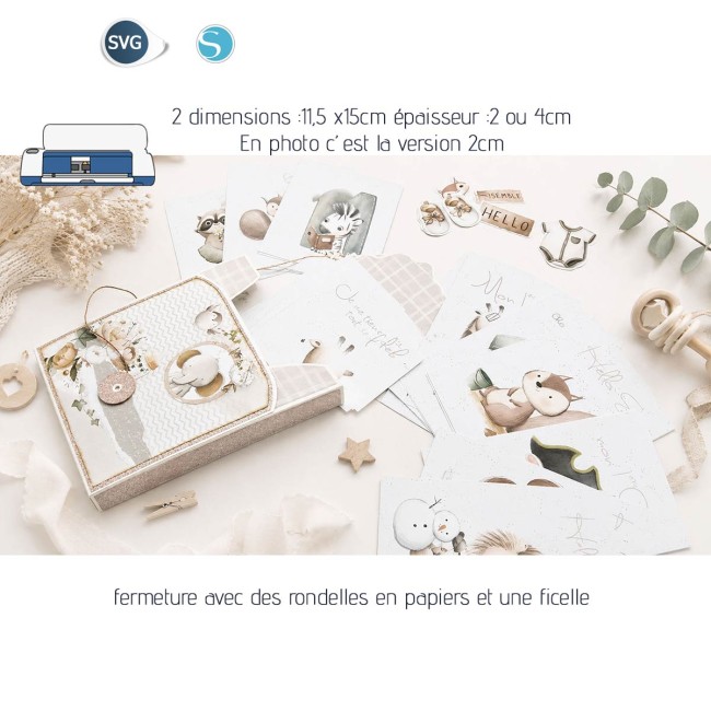Boite_carteEtape_florju_PV2