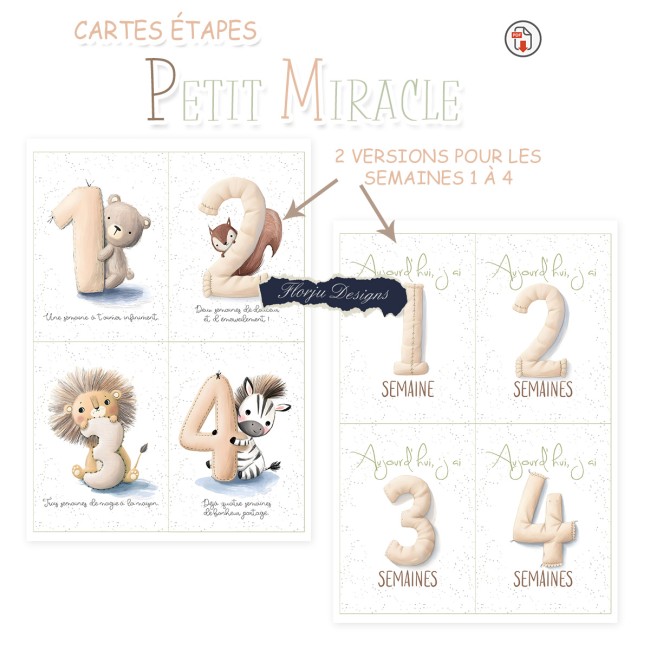 carteEtape_PetitMiracle_florju_PV6