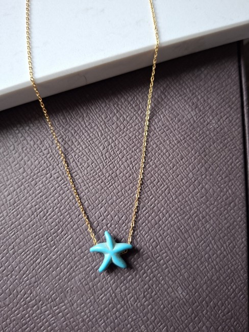 Étoile de mer turquoise