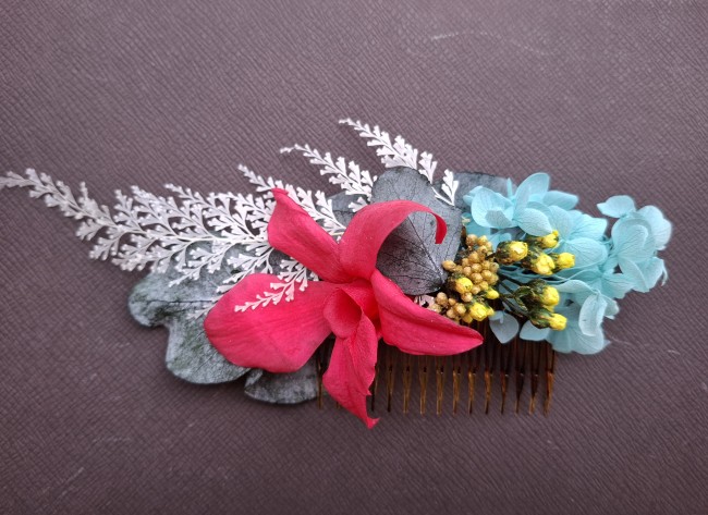 Eucalyptus et fougère blanche