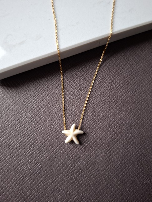 Étoile de mer crème