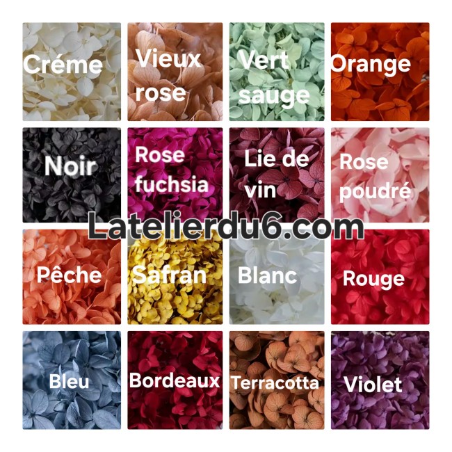 Latelierdu6.com nuancier