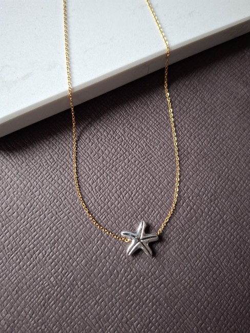 Étoile de mer argenté