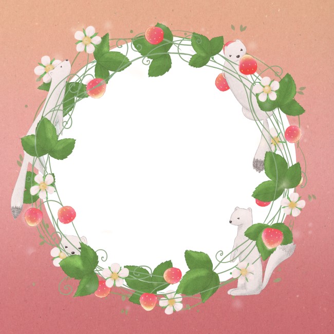 Carré Hermine Fraisep