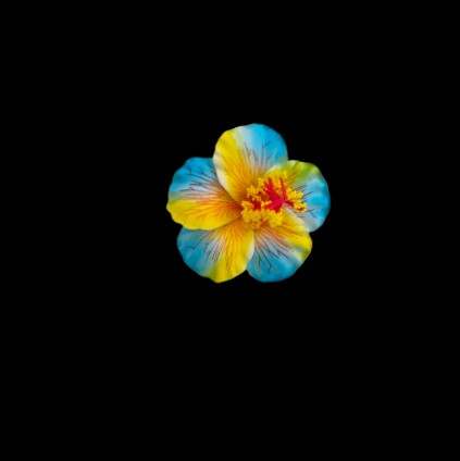 ei_1763600549519-removebg-preview