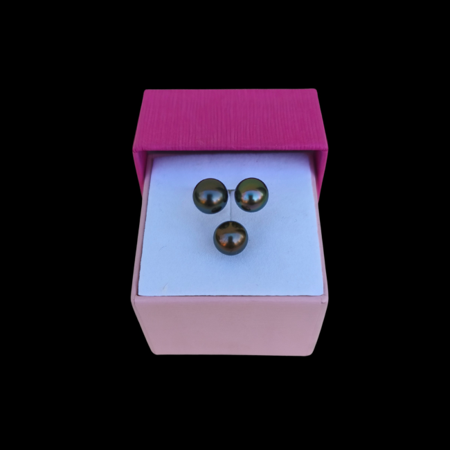 4dd3db49-2376-428e-b4fc-2cbfb9c7250d_20260224_200124_0000