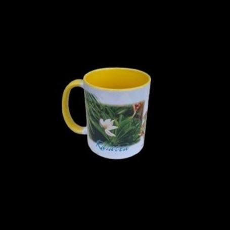 ei_1770384423382-removebg-preview~2