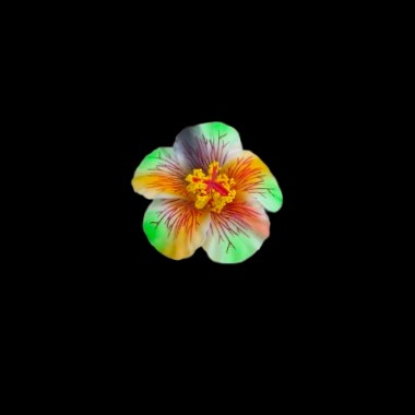 ei_1763600763702-removebg-preview