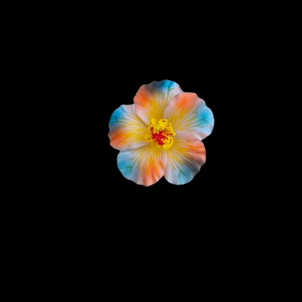 ei_1763598107337-removebg-preview