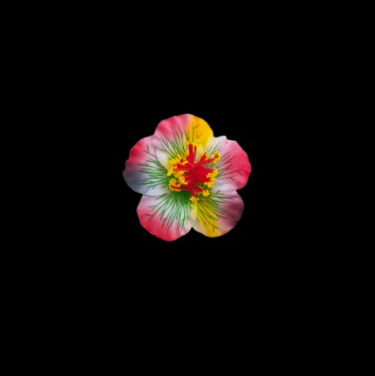 ei_1763600487009-removebg-preview