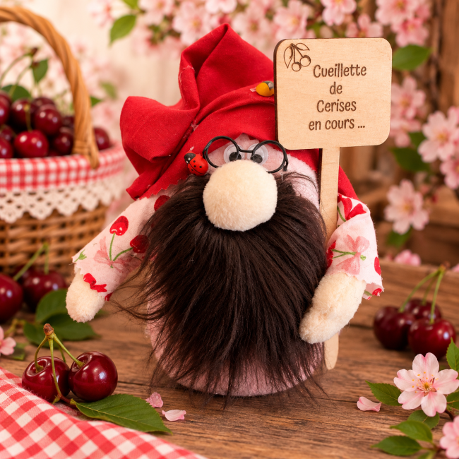 Gnome Monsieur Cerise avec panneau Cueillette de Cerises en cour