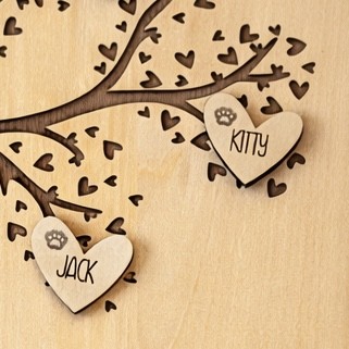 Prénom d’un animal de compagnie (Kitty) avec icône de patte