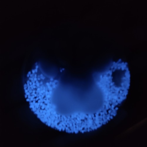 5350B5A7-13E8-410C-8253-1F97FB6D1C88_1_201_a