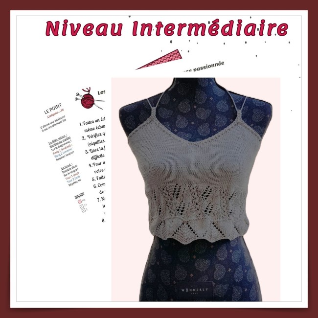 TUTO INTERMEDIAIRE - Collection COTENAL -  Le Top Diana  -...