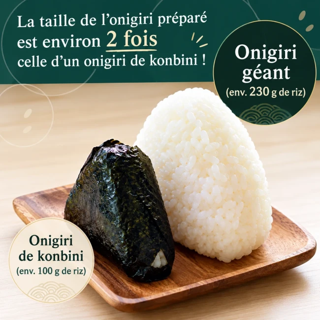 Boîte à onigiri japonaise rouge Tsukimi Usagi lapin Sakura 290 ml OSK - Modern and Past