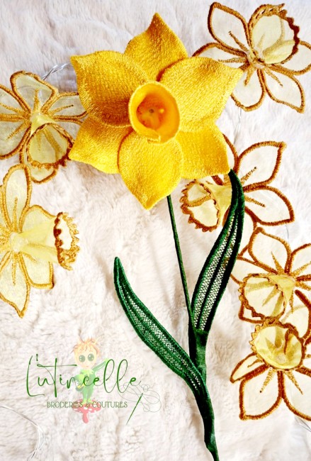 Jonquilles broderie dentelle