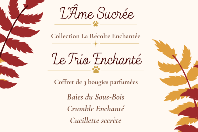 Le Trio Enchanté – 3 bougies parfumées Le Trio Enchanté – coffret de 3 bougies parfumées La Récolte Enchantée