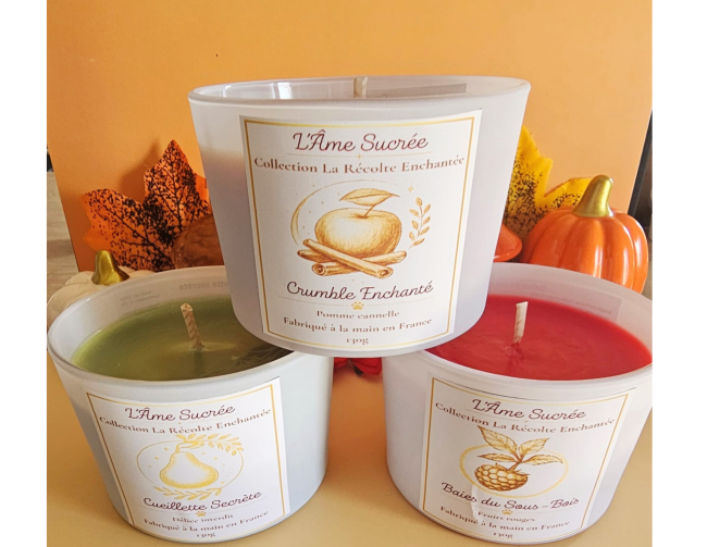 Le Trio Enchanté – Coffret 3 bougies artisanales Coffret Le Trio Enchanté avec trois bougies artisanales de 130 g