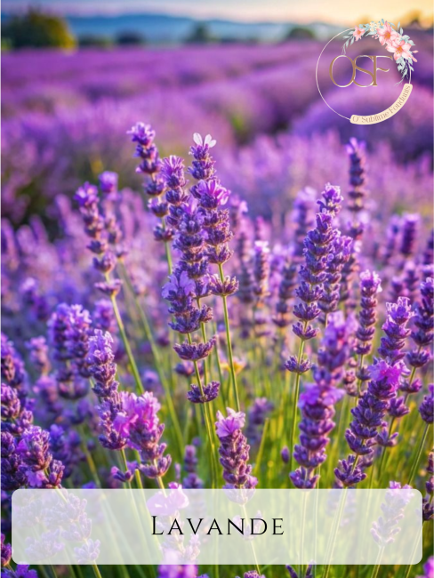 Nougat blanc_20260310_195938_0000