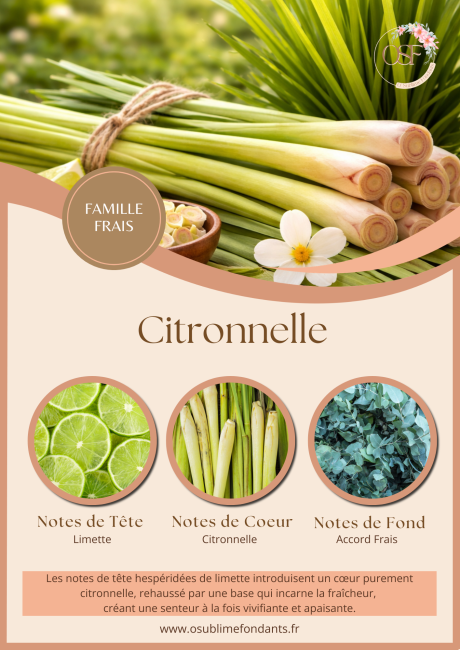 Brown and Beige Floral Beauty and Spa Center Flyer_20260322_182622_0000