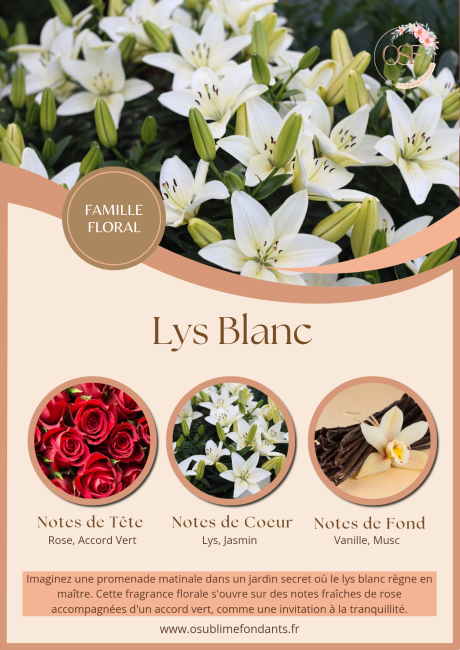 Brown and Beige Floral Beauty and Spa Center Flyer_20260223_024421_0000