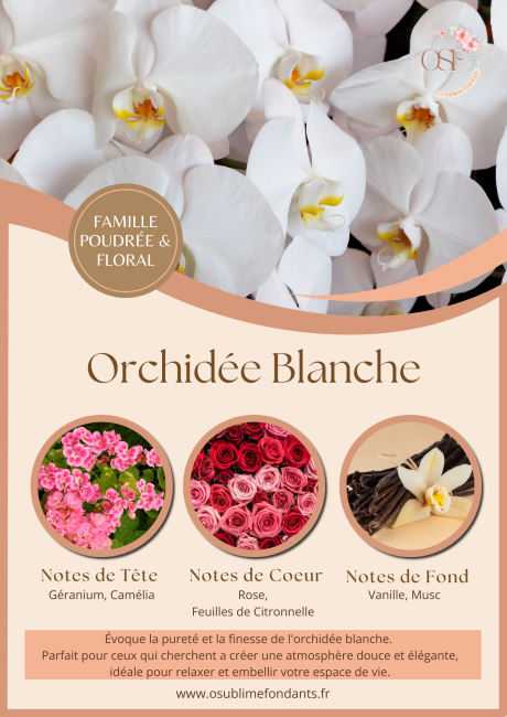 Brown and Beige Floral Beauty and Spa Center Flyer_20260523_103335_0000