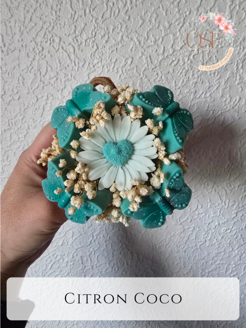 Nougat blanc_20260402_081338_0000