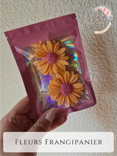 Nougat blanc_20260404_051321_0000