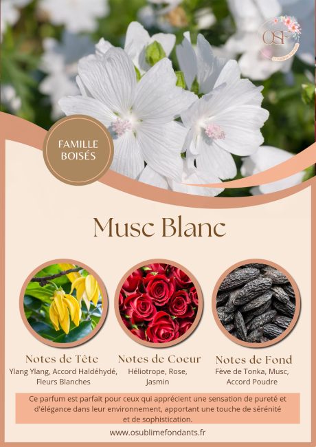Brown and Beige Floral Beauty and Spa Center Flyer_20251030_223627_0000