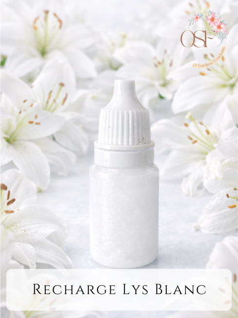 Nougat blanc_20260126_003238_0000