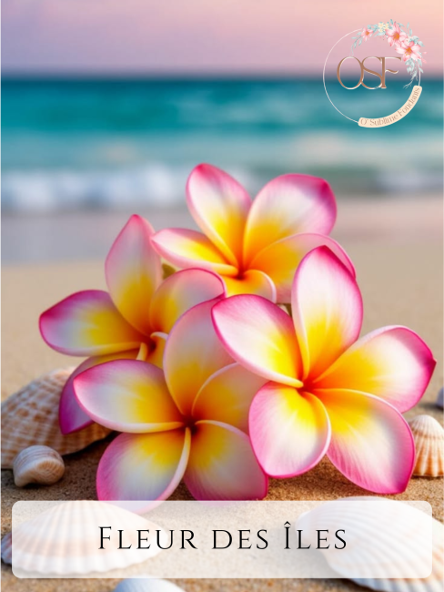 Nougat blanc_20260731_184655_0000