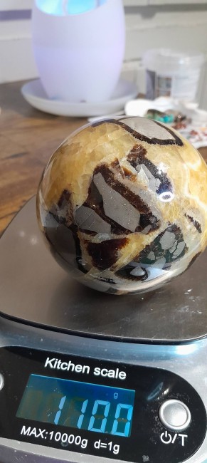 septaria 90mm 1kg100