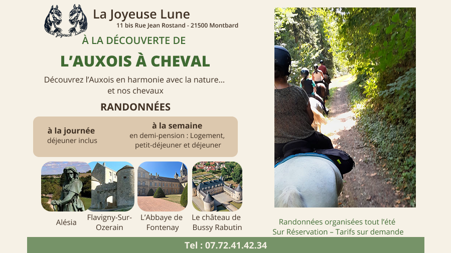 Randonnée à cheval en Bourgogne