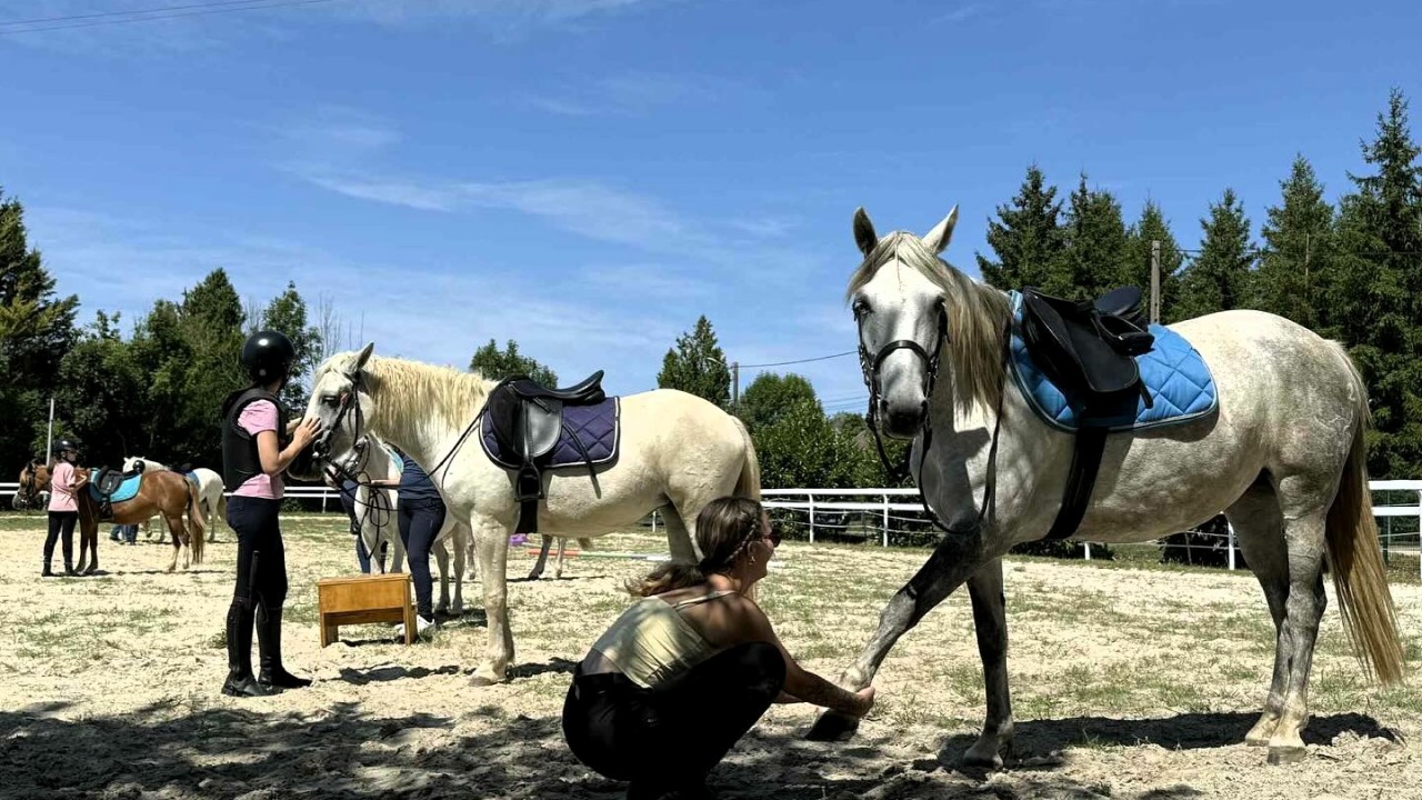 Préparation des chavaux