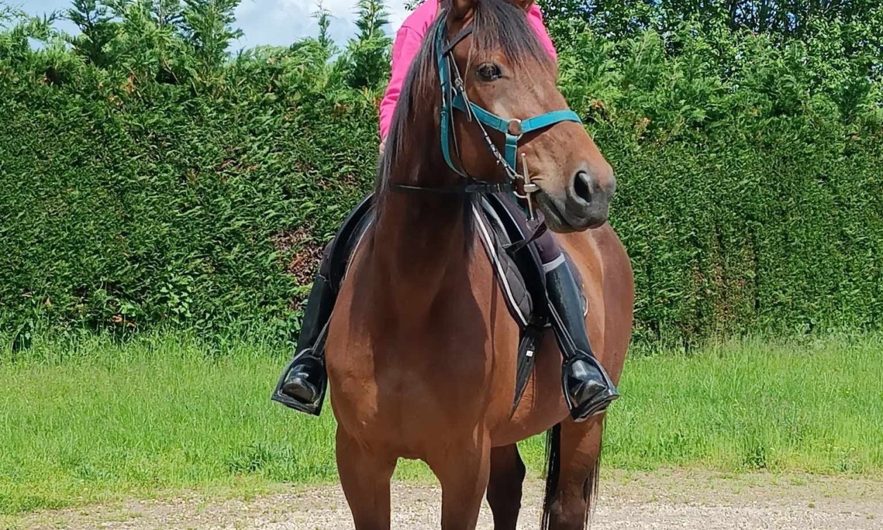 Cetus de Tilou monté en extérieur