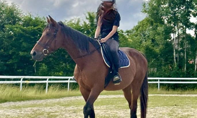 Cetus de Tilou au travail