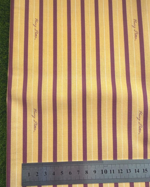 Vue du coupon Harry Potter avec règle pour échelle motifs