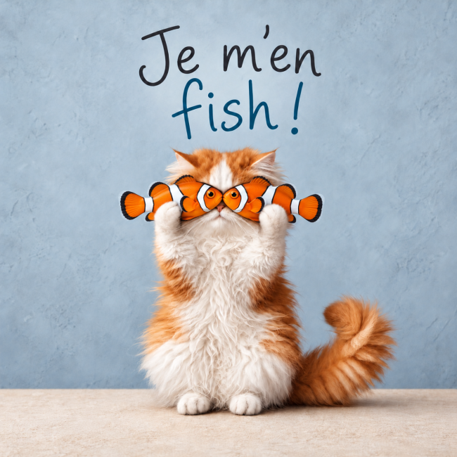 Un chat espiègle cache ses yeux derrière deux poissons : Je m’en fish ! "Un chat espiègle cache ses yeux derrière deux poissons : Je m’en fish ! "