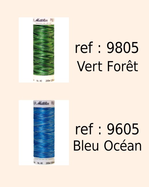 Fils Mettler Multicolor vert forêt 9805 et bleu océan 9605