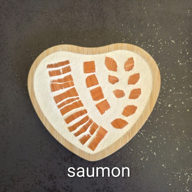 saumon nom