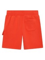 81911c9318b4d65a3379ae61a0fc39a26d173626-sm