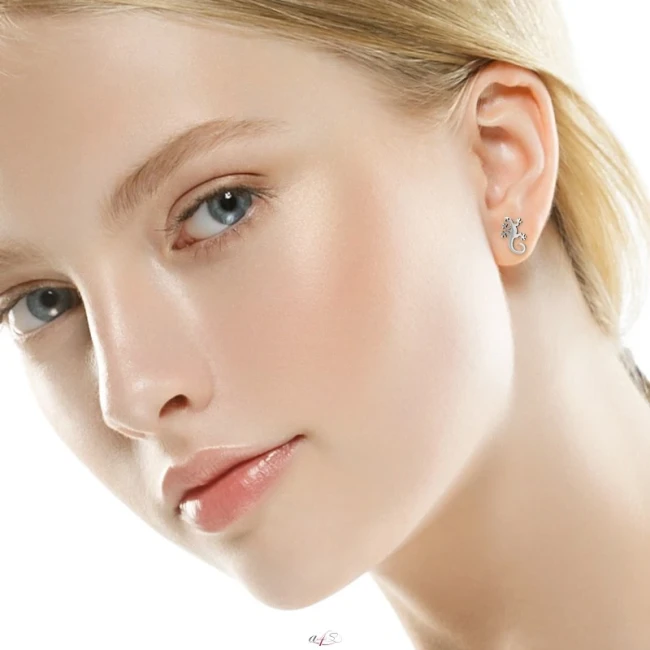 Boucles d'oreilles puces Gecko Lézard – argenté