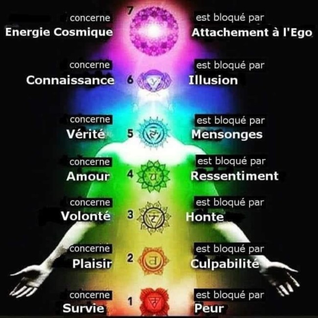 d2fd8940c6b7ce13159f9c12158694e754136aaf-lg