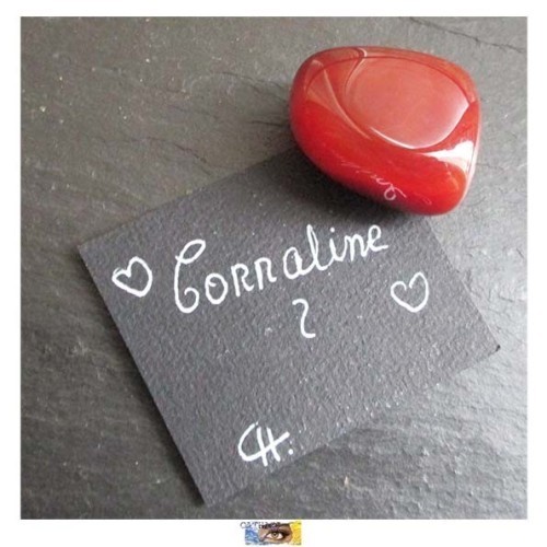 cbd08e10eb4e7dda8675a3f87385b4d369df04ba-lg