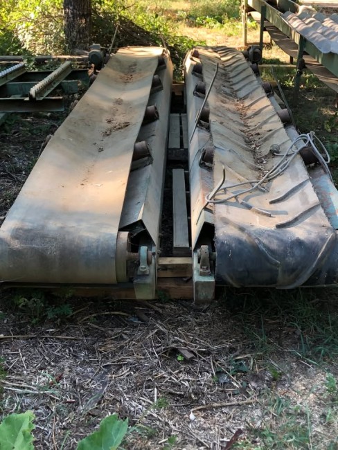 439562161_1983702878752507_345382668877341318_n